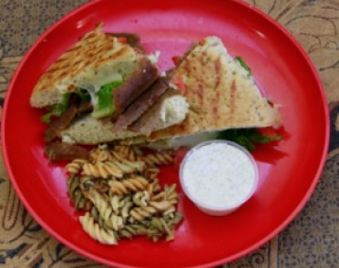 Gyro Panino
